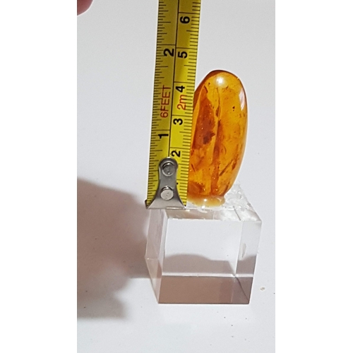 140 - Beautiful Small Piece of Amber (Approx. 4.5cm x 2cm) on a Plexiglass Base/Cube.