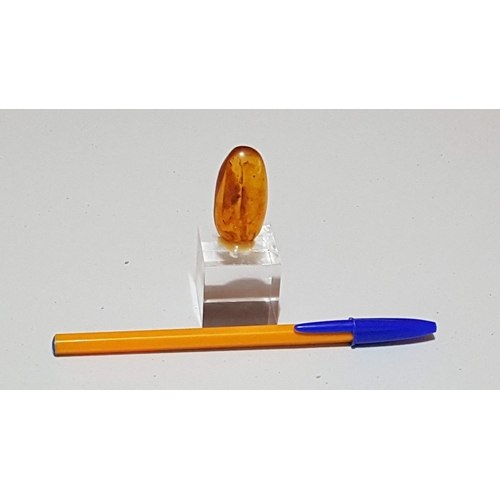 140 - Beautiful Small Piece of Amber (Approx. 4.5cm x 2cm) on a Plexiglass Base/Cube.