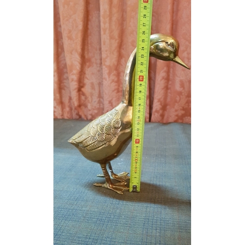 404 - Collectable 'Ducks' Brass Sculptures, Large Approx. H:26.5cm and 2x Small.  (3)