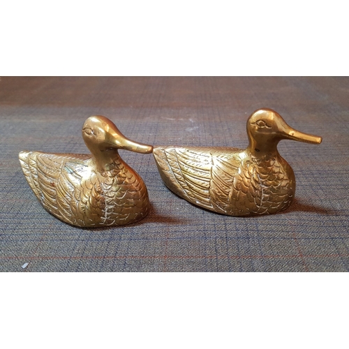 404 - Collectable 'Ducks' Brass Sculptures, Large Approx. H:26.5cm and 2x Small.  (3)