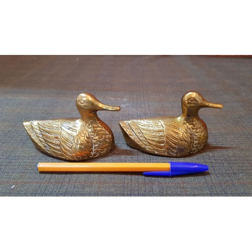 404 - Collectable 'Ducks' Brass Sculptures, Large Approx. H:26.5cm and 2x Small.  (3)