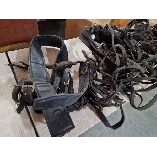 111 - Large Collection of Vintage Leather Equestrian Straps, Riding Tackle, etc (see multiple catalogue ph... 