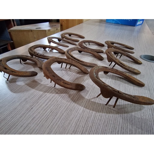 113 - Collection of 10 x Vintage Horse Shoes, (10)