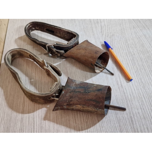 119 - 2 x Vintage Cow / Goat Bells on Leather Straps, (2)