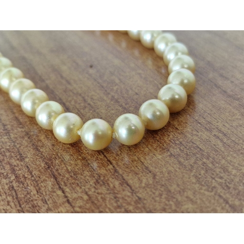 120 - Vintage Single Strand Pearl Necklace, with Gold Tone Clasp and Safety Chain, (Approx. L: 60cm, Ø: 8m... 