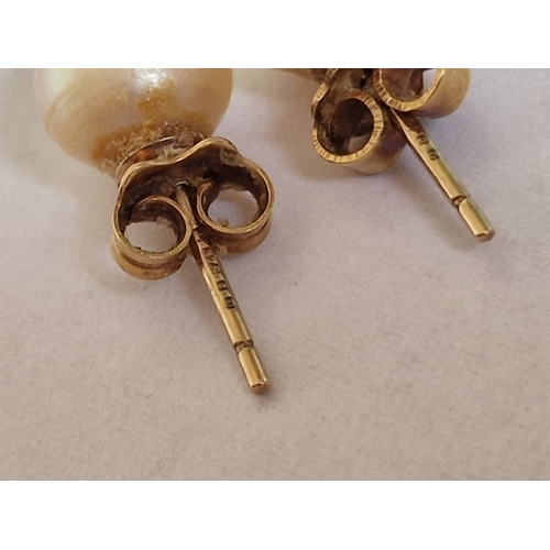 34 - Pair of Pearl & 9ct Gold Earrings (Approx. 2.2g, Ø: 8mm)