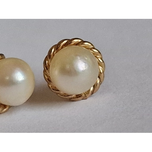 71 - Pair of Pearl Earrings with Decorative Rope Effect 9ct Gold Surround, (Approx. 0.8g, Ø: 6mm)