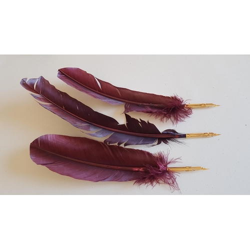 143 - Antique Style Genuine Feather Quill Pens (Creative Set Feather Fountain Pens), Un-Used.