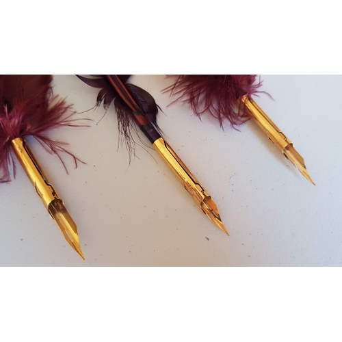 143 - Antique Style Genuine Feather Quill Pens (Creative Set Feather Fountain Pens), Un-Used.