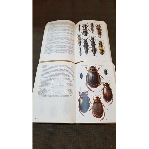 328 - Wild Life Books: 'Insects', 'Beetles', ' Butterflies and Moths', 'Mediterranean Wildlife'.  (4)