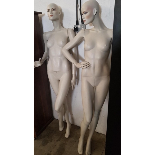 488 - 2x Full Body Female Mannequins, Approx. H:173-176cm, A/F, no stand.  (2)