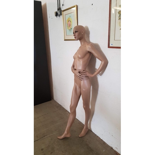 489 - Full Body Female Mannequin, Approx. H: 173cm, A/F, no stand.