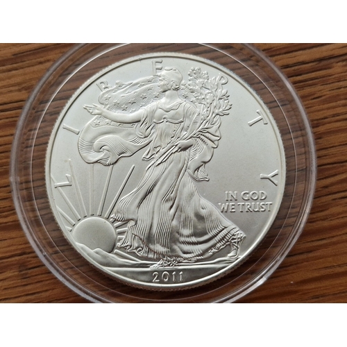 9 - USA 1 Dollar American Silver Eagle (2011), Approx. 31g, Fine Silver (.999) with Plastic Capsule
