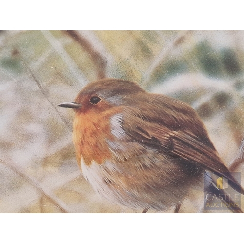 121 - 2 x Framed, Signed and Limited Edition Prints by Steven Townsend of Robins (Birds), Titled 'Red Watc... 