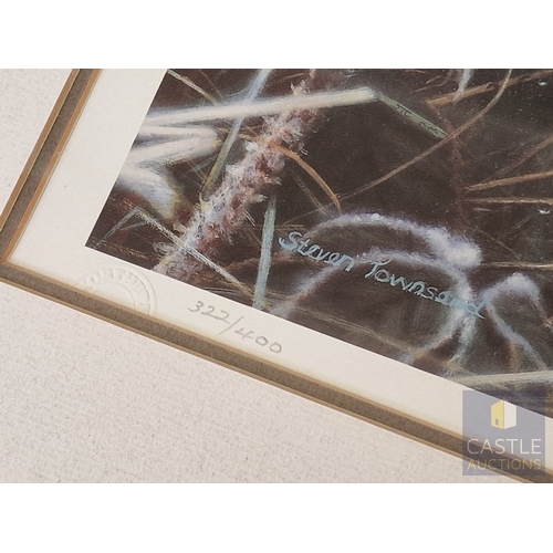 121 - 2 x Framed, Signed and Limited Edition Prints by Steven Townsend of Robins (Birds), Titled 'Red Watc... 