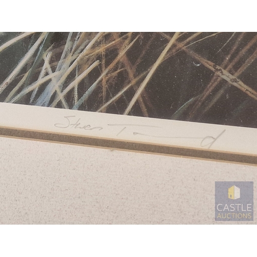 121 - 2 x Framed, Signed and Limited Edition Prints by Steven Townsend of Robins (Birds), Titled 'Red Watc... 