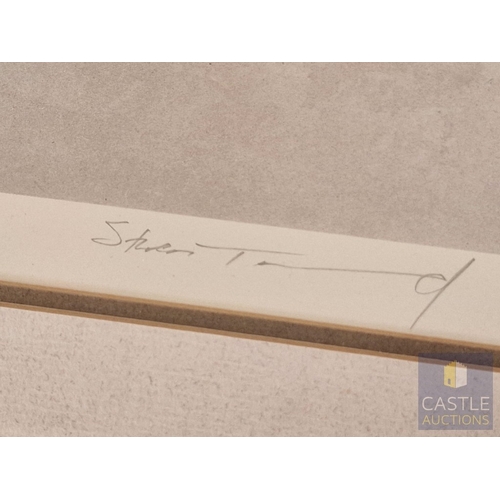 121 - 2 x Framed, Signed and Limited Edition Prints by Steven Townsend of Robins (Birds), Titled 'Red Watc... 