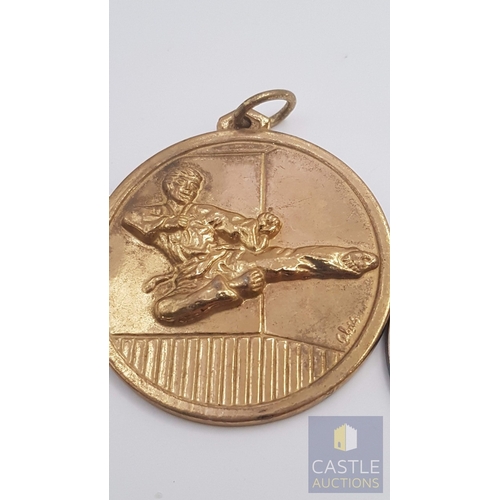 372A - Collection of Sports- Themed Medals, Different Sports, Size, Colour, See Multiple Photos, (3)