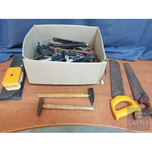 Lot 428       