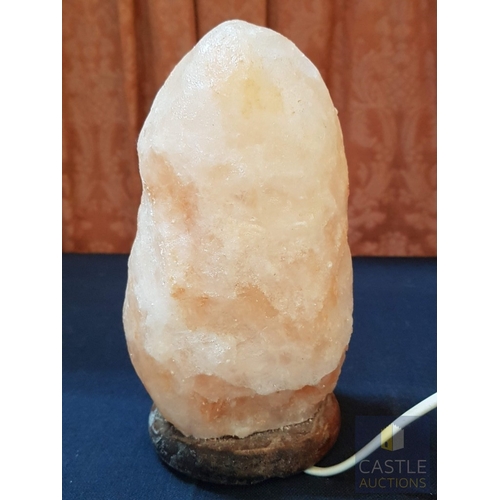 677G - Natural Himalayan Salt Lamp (Approx. H: 22cm), Untested.