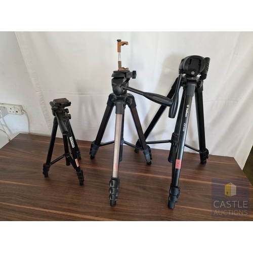 Lot 212       