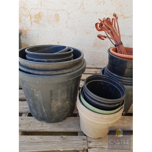 346 - More Than 70X Pcs of Assorted Collection Plastic Plant Pots, Different Sizes and Colors, (+70 Pcs)