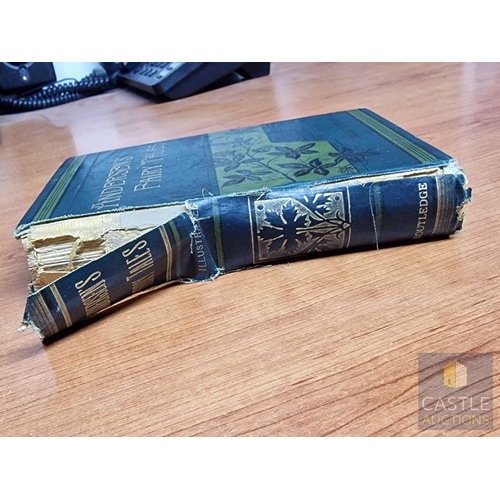 626M - Antique Book; Fairy Tales and Stories by Hans Christian Andersen, Translated by Dr H. W. Dulcken, wi... 