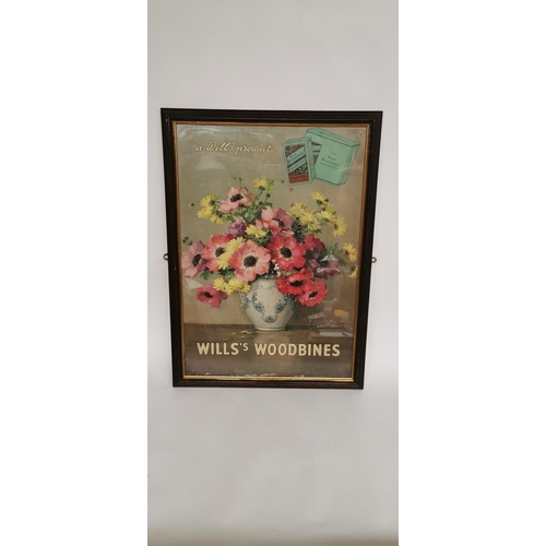 107 - Will's Woodbine Cigarettes advertisement. { 72cm H X 52cm W }.