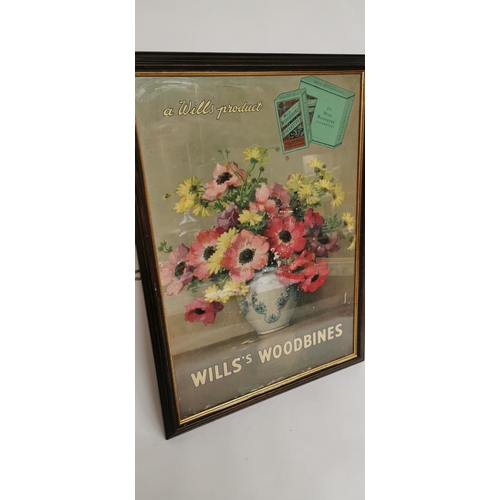 107 - Will's Woodbine Cigarettes advertisement. { 72cm H X 52cm W }.