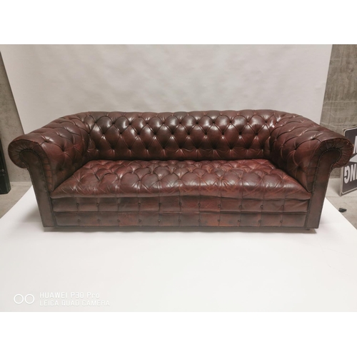 54 - Early 20th. C. exceptional quality hand dyed cigar leather deep buttoned chesterfield sofa { 71cm H ... 