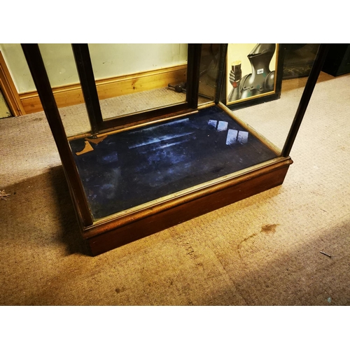 1252 - Extremely rare 19th C. Cadbury's Chocolate mahogany and glass floor display cabinet {204 cm H x 94 c... 