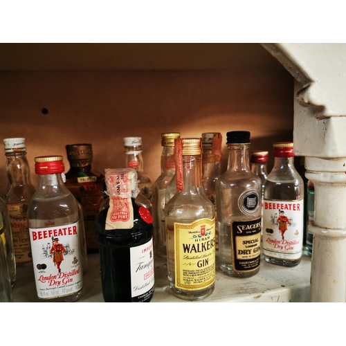 560 - Collection of miniature spirits bottles some with contents - Gin and Whiskey.