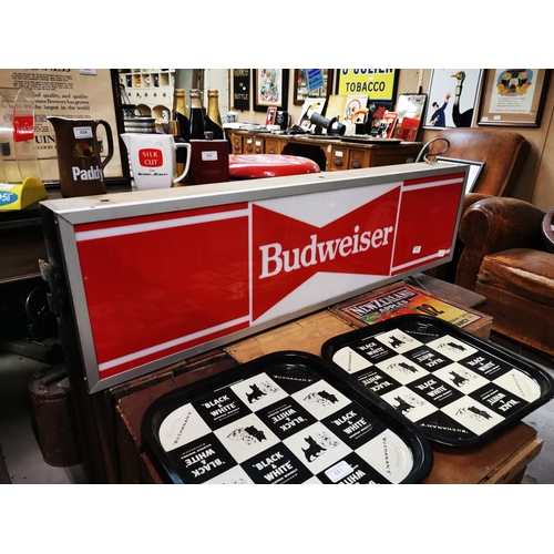 652 - Budweiser light up hanging advertising box {31 cm H x 116 cm W x 12 cm D}.