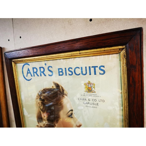 864 - Rare Carr's Biscuits advertising showcard in original frame {65 cm H X 50 cm W }