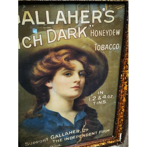 150A - Gallaher's Smoke Rich Dark Honey Dew Tobacco pictorial advertising print {59 cm H x 47 cm W}.