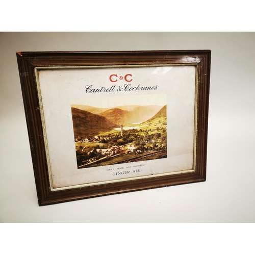 16 - Cantrell and Cochrane's framed advertising print {47 cm H x 59 cm W}