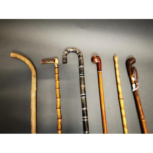 167 - Collection of seven walking sticks.