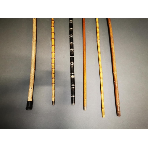167 - Collection of seven walking sticks.