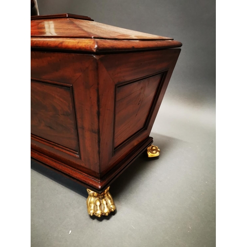 263 - Exceptional quality Regency mahogany wine cooler with lions paw feet {45 cm H x 62 cm W x 40 cm D}.