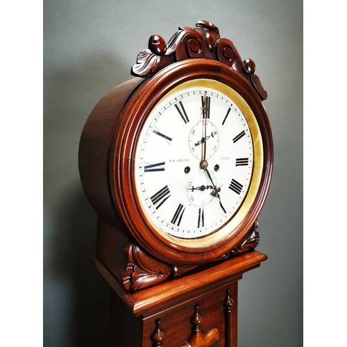 270 - Good quality William IV mahogany drum head Grandfather clock with painted dial by R.M. Nelson of Oma... 