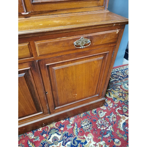 270A - Edwardian mahogany two door book case {226 cm H x 122 cm W x 50 cm D}.