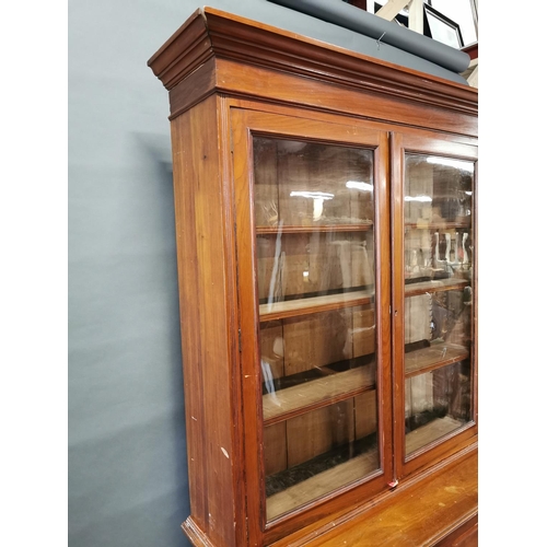 270A - Edwardian mahogany two door book case {226 cm H x 122 cm W x 50 cm D}.