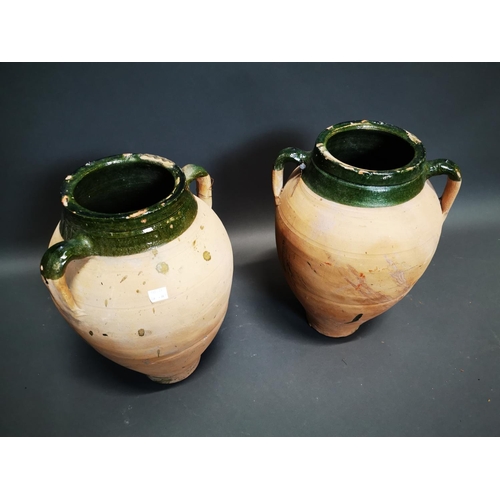 287 - Pair of early 20th C. glazed terracotta olive pots {56 cm H x 40 cm W x 34 cm D}.