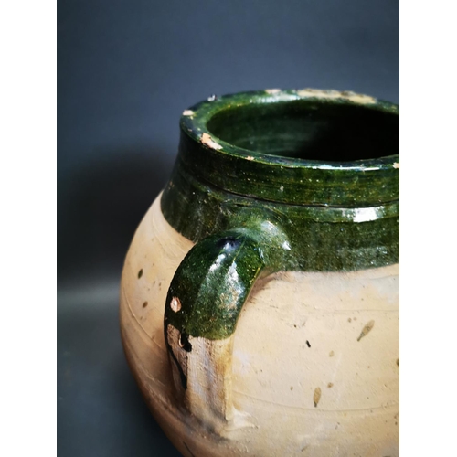 287 - Pair of early 20th C. glazed terracotta olive pots {56 cm H x 40 cm W x 34 cm D}.