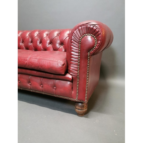 294 - Good quality hand died leather ox blood deep buttoned three seater Chesterfield sofa on turned legs ... 