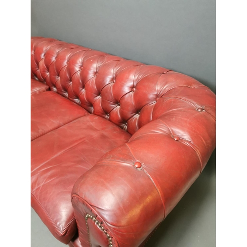 294 - Good quality hand died leather ox blood deep buttoned three seater Chesterfield sofa on turned legs ... 