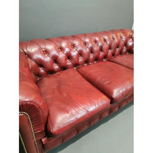 294 - Good quality hand died leather ox blood deep buttoned three seater Chesterfield sofa on turned legs ... 