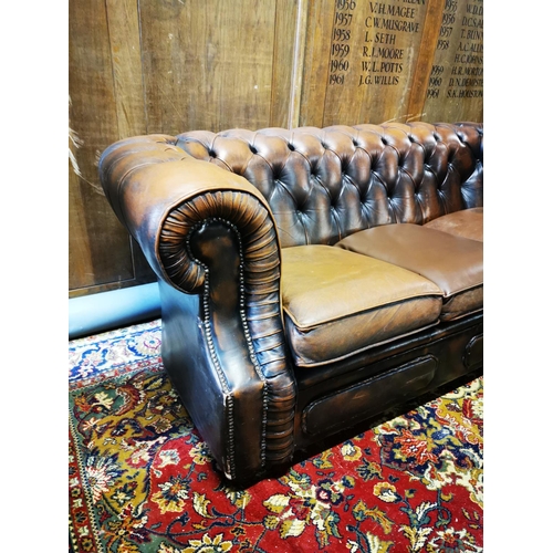 300A - Brown leather three seater Chesterfield sofa {76 cm H x 198 cm W x 95 cm D}.