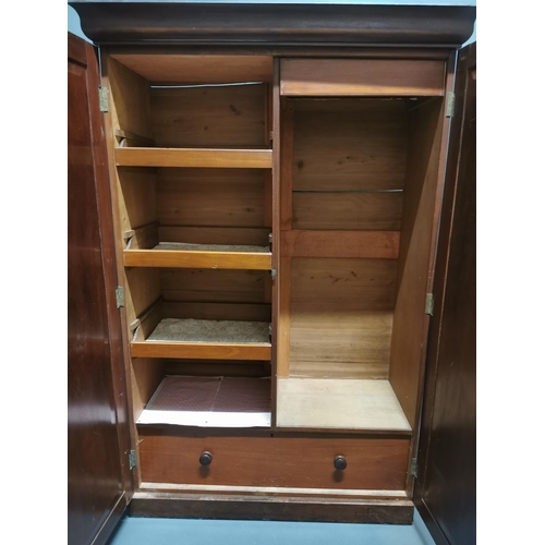 301 - Victorian mahogany two door wardrobe {196 cm H x 130 cm W x 55 cm D}.