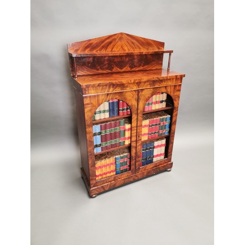 307 - William IV mahogany two door side cabinet with gallery back {120 cm H x 80 cm W x 31 cm D}.